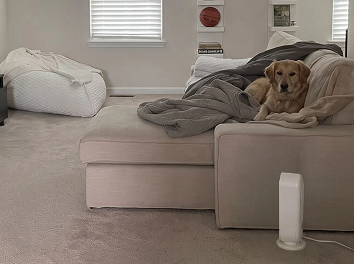 Place Upright on Desk, Side Table, or Floor
